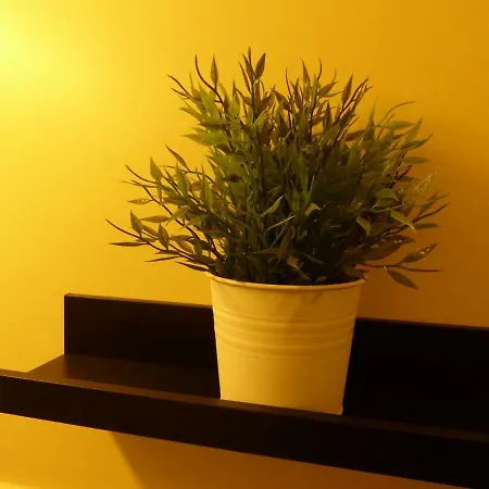 Oxford Apartment
